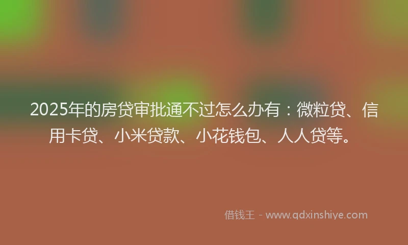 2025年的房贷审批通不过怎么办有：微粒贷、信用卡贷、小米贷款、小花钱包、人人贷等。