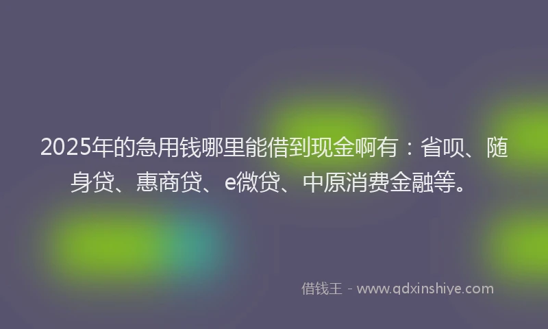2025年的急用钱哪里能借到现金啊有：省呗、随身贷、惠商贷、e微贷、中原消费金融等。