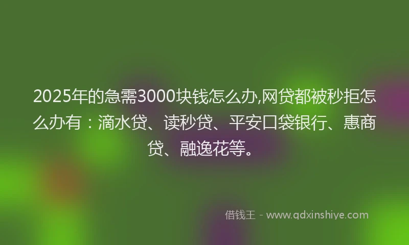 2025年的急需3000块钱怎么办,网贷都被秒拒怎么办有：滴水贷、读秒贷、平安口袋银行、惠商贷、融逸花等。
