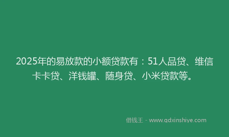 2025年的易放款的小额贷款有：51人品贷、维信卡卡贷、洋钱罐、随身贷、小米贷款等。