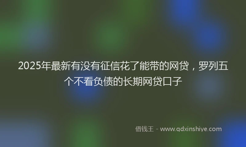 2025年最新有没有征信花了能带的网贷，罗列五个不看负债的长期网贷口子