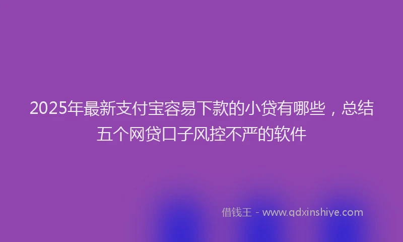 2025年最新支付宝容易下款的小贷有哪些，总结五个网贷口子风控不严的软件
