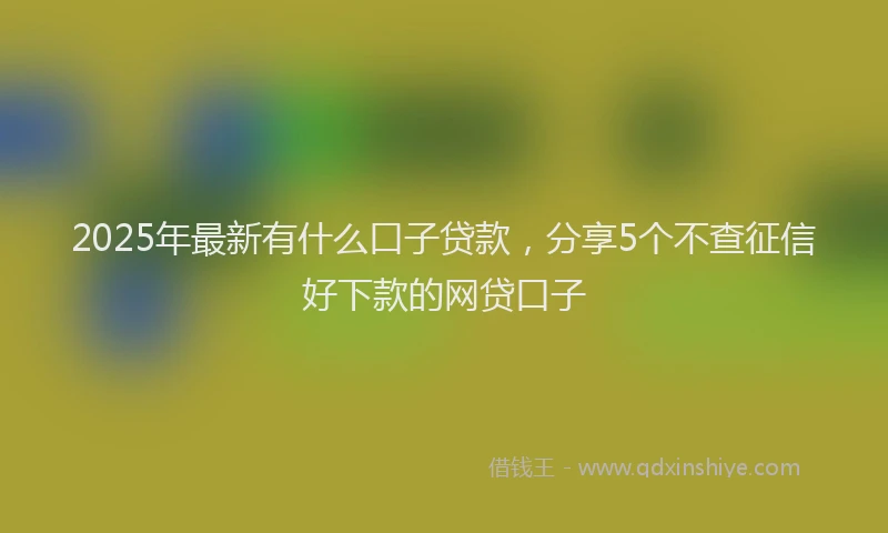 2025年最新有什么口子贷款，分享5个不查征信好下款的网贷口子