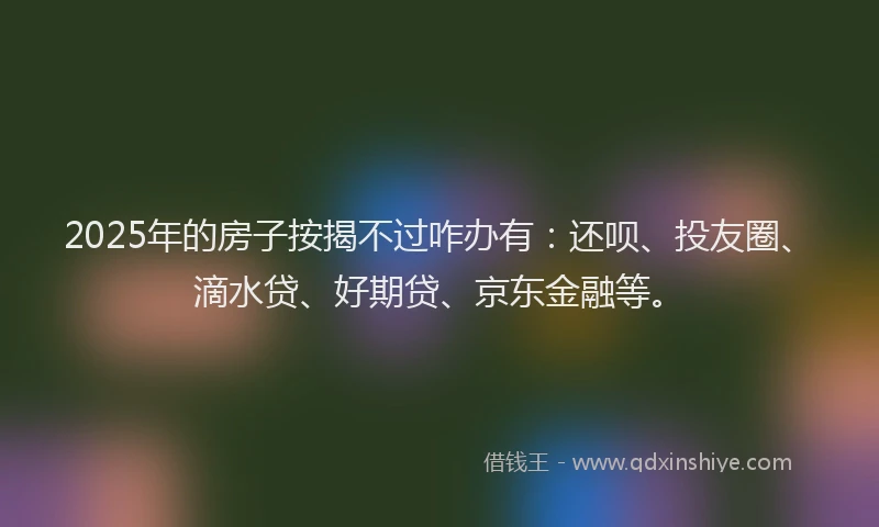 2025年的房子按揭不过咋办有：还呗、投友圈、滴水贷、好期贷、京东金融等。