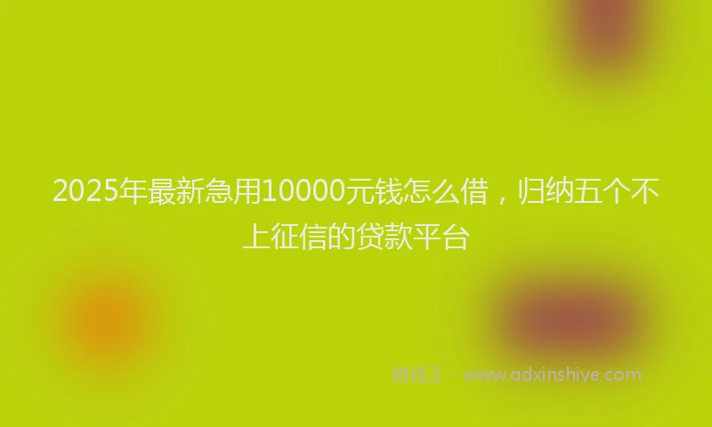 2025年最新急用10000元钱怎么借，归纳五个不上征信的贷款平台