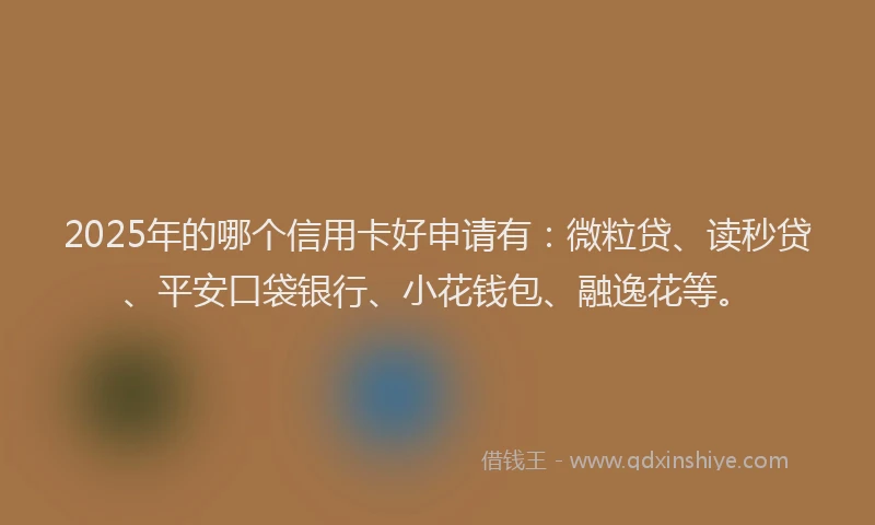 2025年的哪个信用卡好申请有：微粒贷、读秒贷、平安口袋银行、小花钱包、融逸花等。