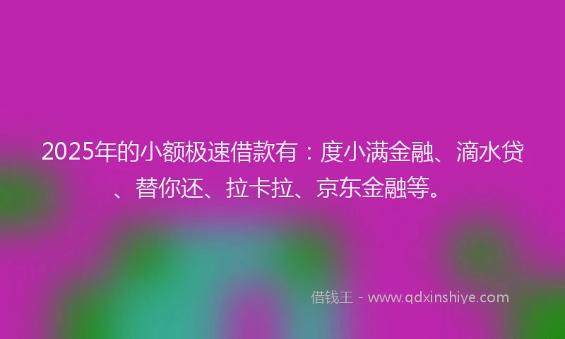 2025年的小额极速借款有：度小满金融、滴水贷、替你还、拉卡拉、京东金融等。