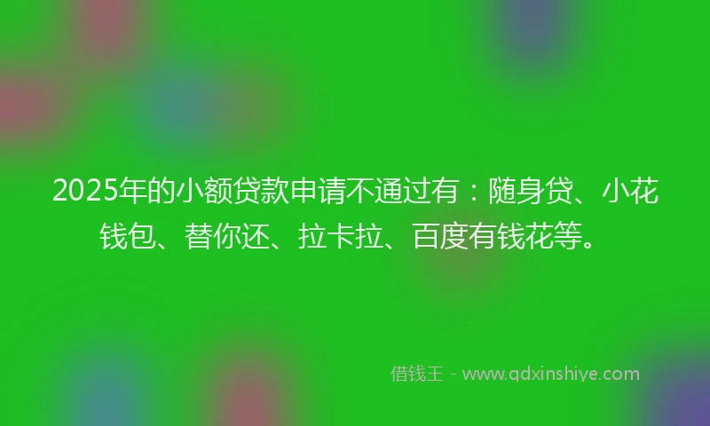 2025年的小额贷款申请不通过有：随身贷、小花钱包、替你还、拉卡拉、百度有钱花等。