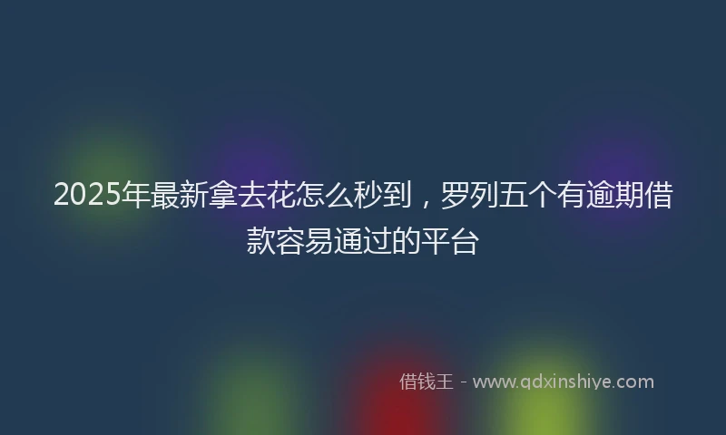 2025年最新拿去花怎么秒到，罗列五个有逾期借款容易通过的平台