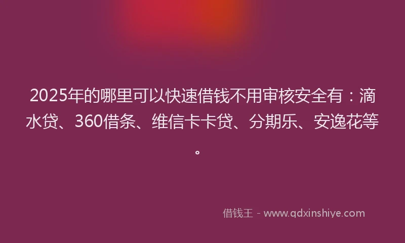2025年的哪里可以快速借钱不用审核安全有：滴水贷、360借条、维信卡卡贷、分期乐、安逸花等。