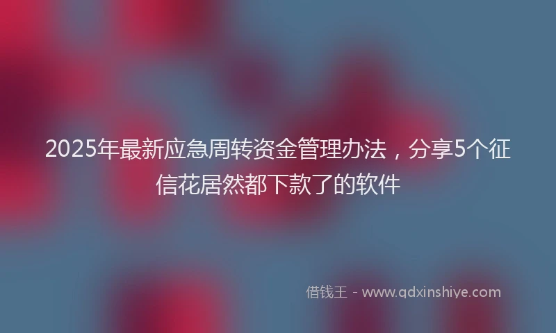 2025年最新应急周转资金管理办法，分享5个征信花居然都下款了的软件
