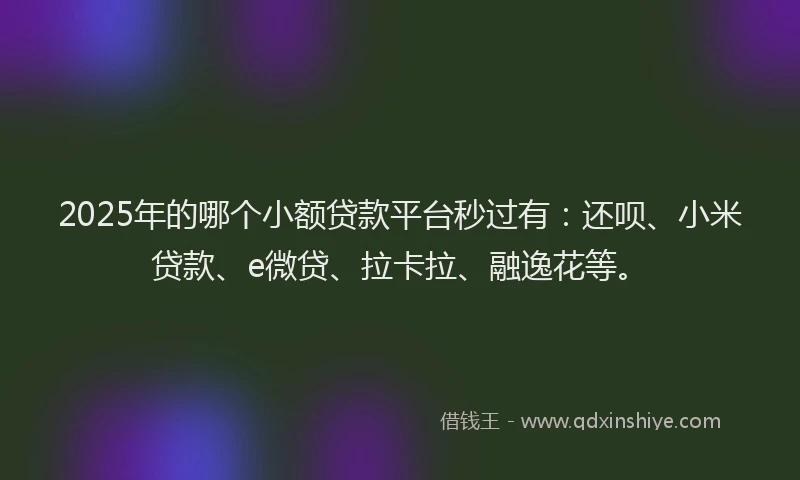 2025年的哪个小额贷款平台秒过有:还呗、小米贷款、e微贷、拉卡拉、融逸花等。