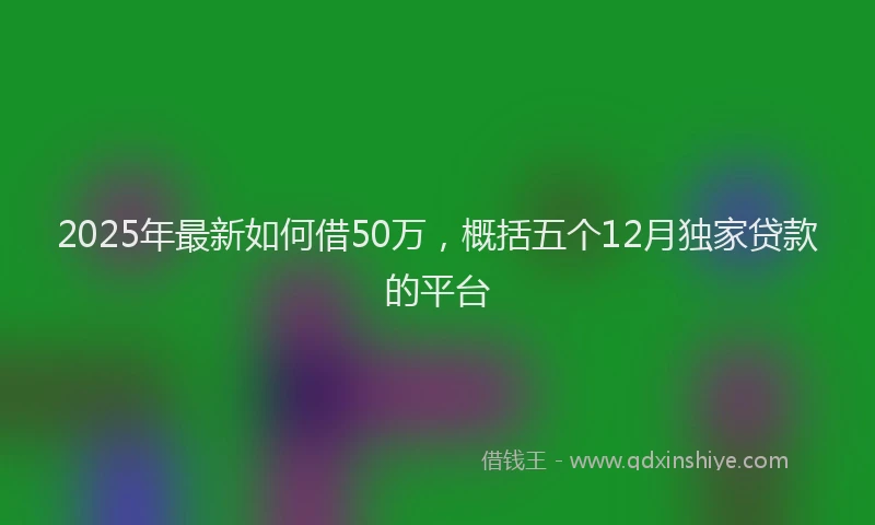 2025年最新如何借50万，概括五个12月独家贷款的平台