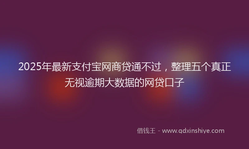 2025年最新支付宝网商贷通不过，整理五个真正无视逾期大数据的网贷口子