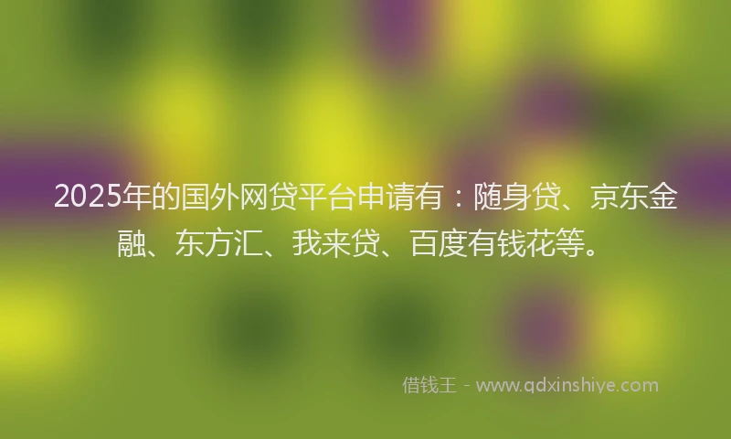 2025年的国外网贷平台申请有：随身贷、京东金融、东方汇、我来贷、百度有钱花等。