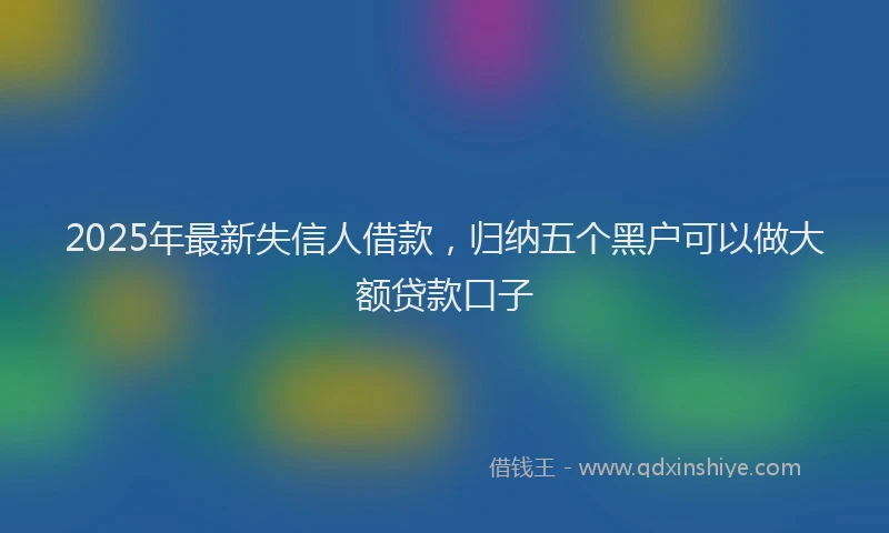 2025年最新失信人借款，归纳五个黑户可以做大额贷款口子