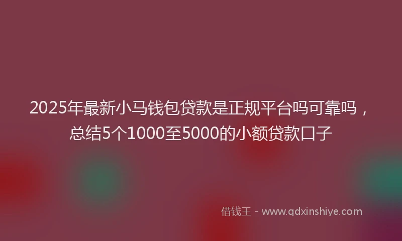 2025年最新小马钱包贷款是正规平台吗可靠吗，总结5个1000至5000的小额贷款口子