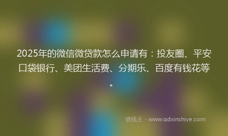 2025年的微信微贷款怎么申请有：投友圈、平安口袋银行、美团生活费、分期乐、百度有钱花等。