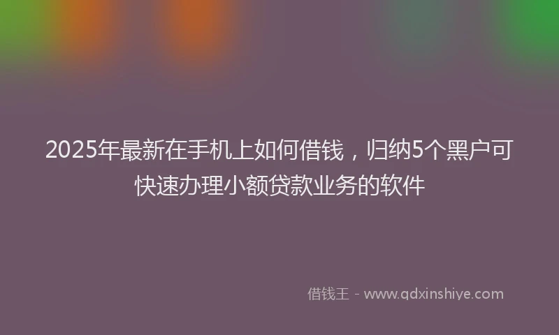 2025年最新在手机上如何借钱，归纳5个黑户可快速办理小额贷款业务的软件