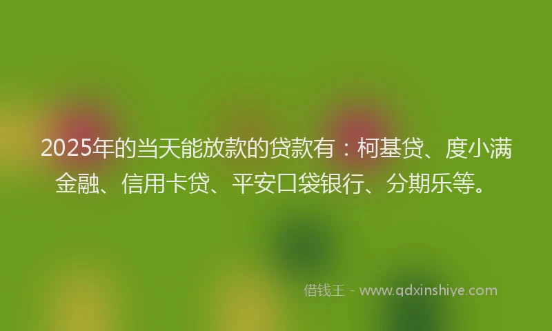 2025年的当天能放款的贷款有：柯基贷、度小满金融、信用卡贷、平安口袋银行、分期乐等。