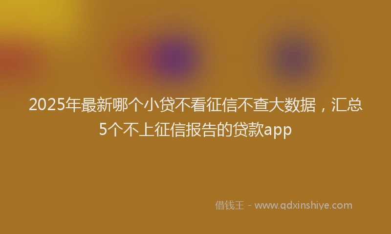 2025年最新哪个小贷不看征信不查大数据，汇总5个不上征信报告的贷款app