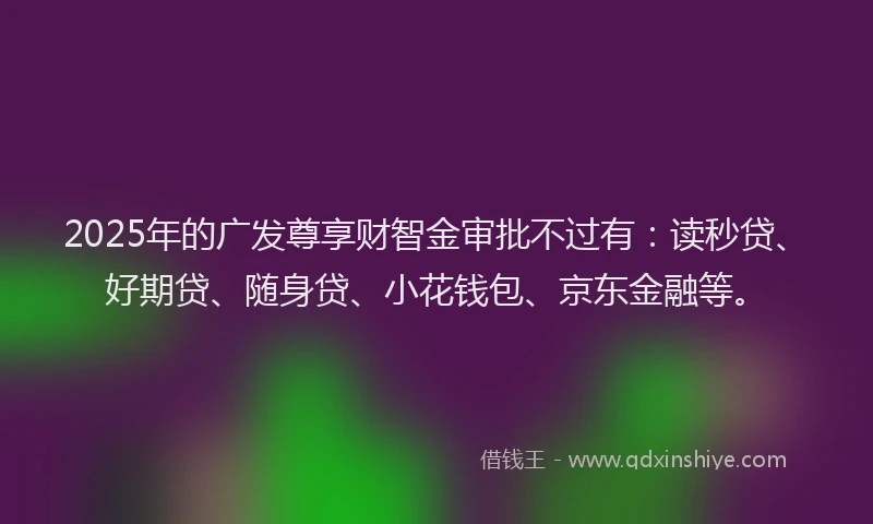 2025年的广发尊享财智金审批不过有：读秒贷、好期贷、随身贷、小花钱包、京东金融等。
