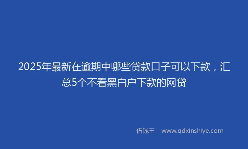 2025年最新在逾期中哪些贷款口子可以下款，汇总5个不看黑白户下款的网贷