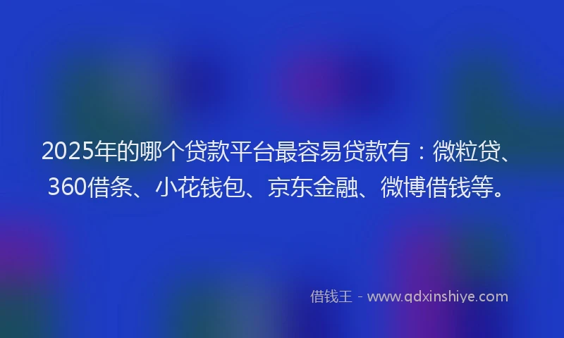 2025年的哪个贷款平台最容易贷款有：微粒贷、360借条、小花钱包、京东金融、微博借钱等。