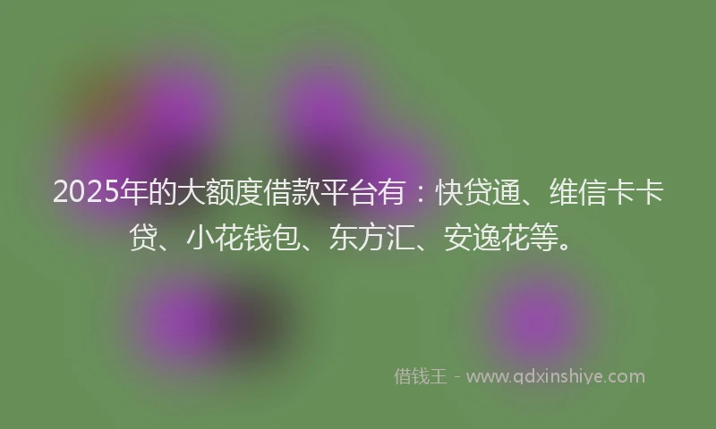 2025年的大额度借款平台有：快贷通、维信卡卡贷、小花钱包、东方汇、安逸花等。