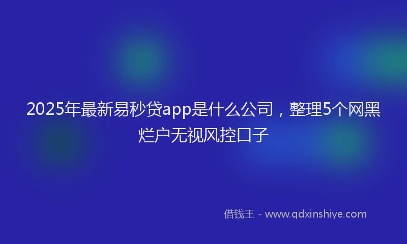 2025年最新易秒贷app是什么公司，整理5个网黑烂户无视风控口子