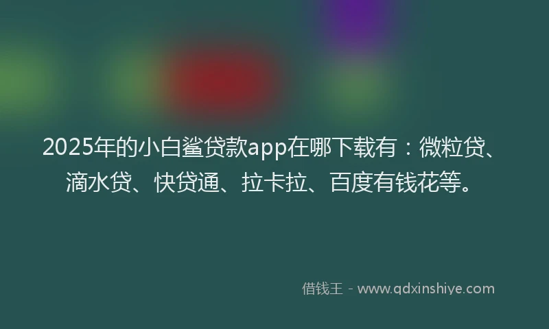 2025年的小白鲨贷款app在哪下载有：微粒贷、滴水贷、快贷通、拉卡拉、百度有钱花等。