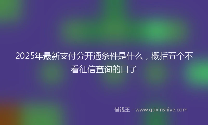 2025年最新支付分开通条件是什么，概括五个不看征信查询的口子