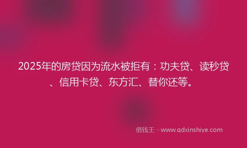 2025年的房贷因为流水被拒有：功夫贷、读秒贷、信用卡贷、东方汇、替你还等。