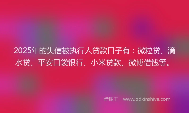 2025年的失信被执行人贷款口子有：微粒贷、滴水贷、平安口袋银行、小米贷款、微博借钱等。