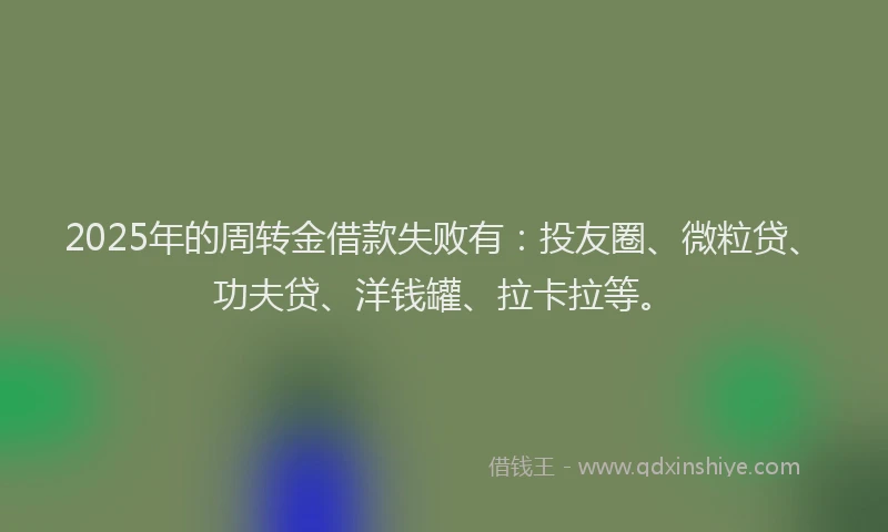 2025年的周转金借款失败有：投友圈、微粒贷、功夫贷、洋钱罐、拉卡拉等。