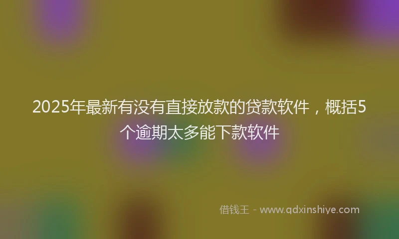 2025年最新有没有直接放款的贷款软件，概括5个逾期太多能下款软件