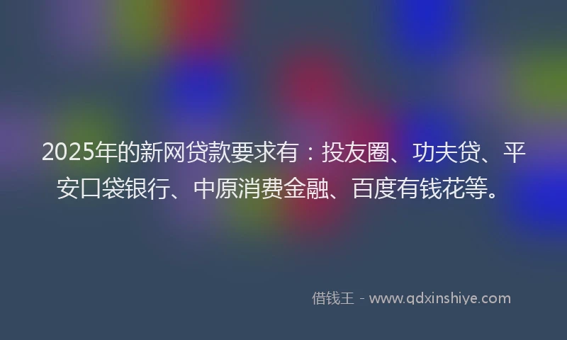 2025年的新网贷款要求有：投友圈、功夫贷、平安口袋银行、中原消费金融、百度有钱花等。