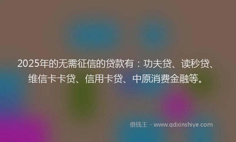 2025年的无需征信的贷款有：功夫贷、读秒贷、维信卡卡贷、信用卡贷、中原消费金融等。