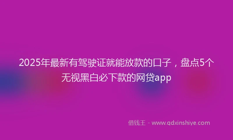 2025年最新有驾驶证就能放款的口子，盘点5个无视黑白必下款的网贷app