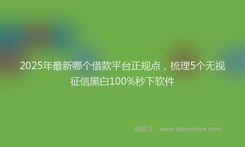 2025年最新哪个借款平台正规点，梳理5个无视征信黑白100%秒下软件