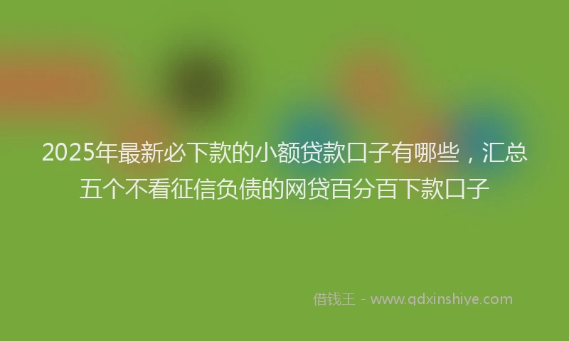 2025年最新必下款的小额贷款口子有哪些，汇总五个不看征信负债的网贷百分百下款口子