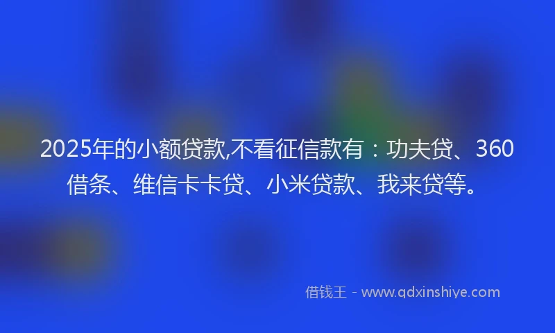 2025年的小额贷款,不看征信款有：功夫贷、360借条、维信卡卡贷、小米贷款、我来贷等。