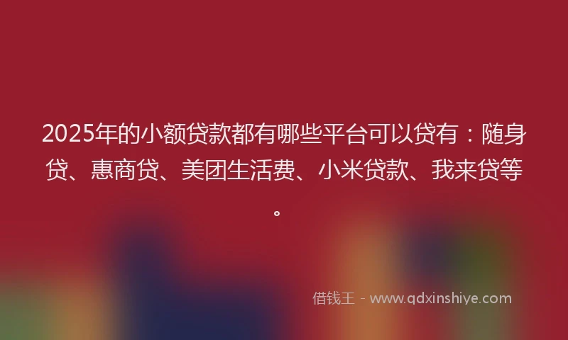 2025年的小额贷款都有哪些平台可以贷有：随身贷、惠商贷、美团生活费、小米贷款、我来贷等。