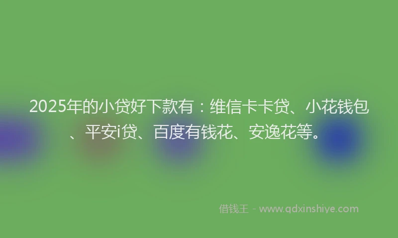 2025年的小贷好下款有：维信卡卡贷、小花钱包、平安i贷、百度有钱花、安逸花等。