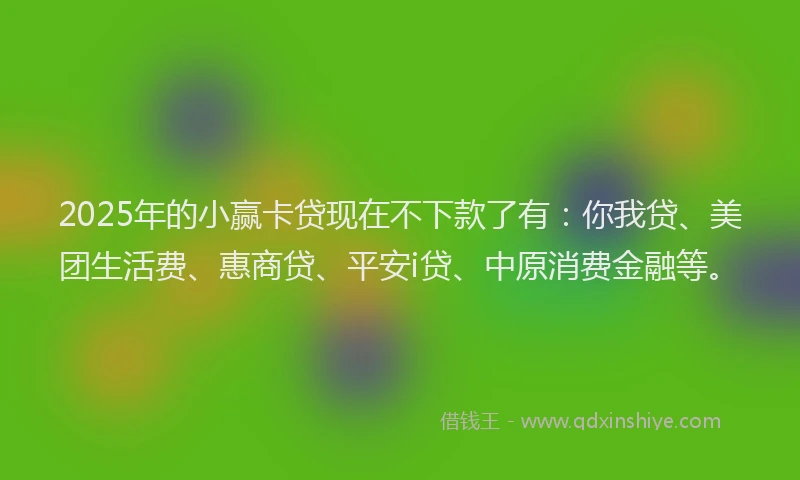 2025年的小赢卡贷现在不下款了有：你我贷、美团生活费、惠商贷、平安i贷、中原消费金融等。