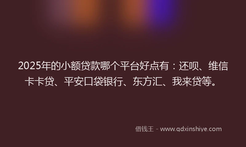 2025年的小额贷款哪个平台好点有：还呗、维信卡卡贷、平安口袋银行、东方汇、我来贷等。