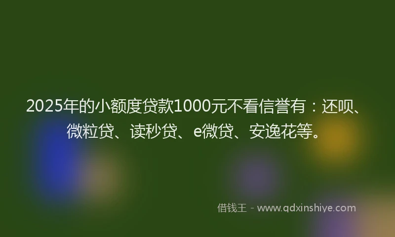 2025年的小额度贷款1000元不看信誉有：还呗、微粒贷、读秒贷、e微贷、安逸花等。