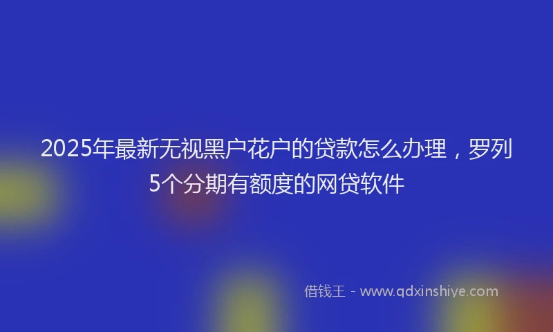 2025年最新无视黑户花户的贷款怎么办理，罗列5个分期有额度的网贷软件