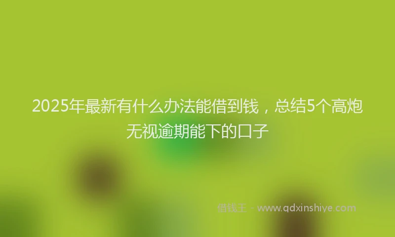 2025年最新有什么办法能借到钱，总结5个高炮无视逾期能下的口子