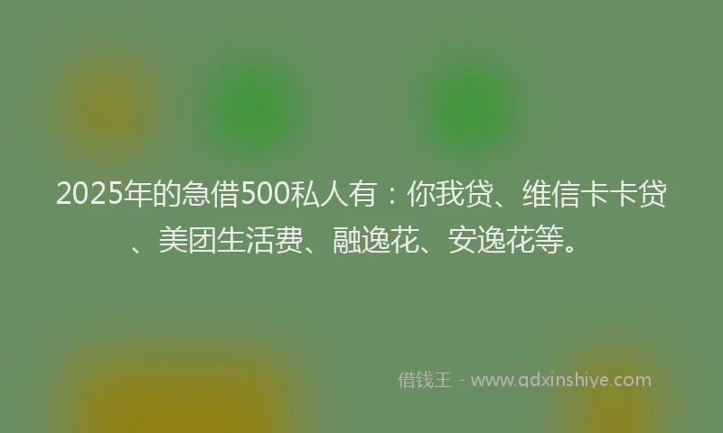 2025年的急借500私人有：你我贷、维信卡卡贷、美团生活费、融逸花、安逸花等。